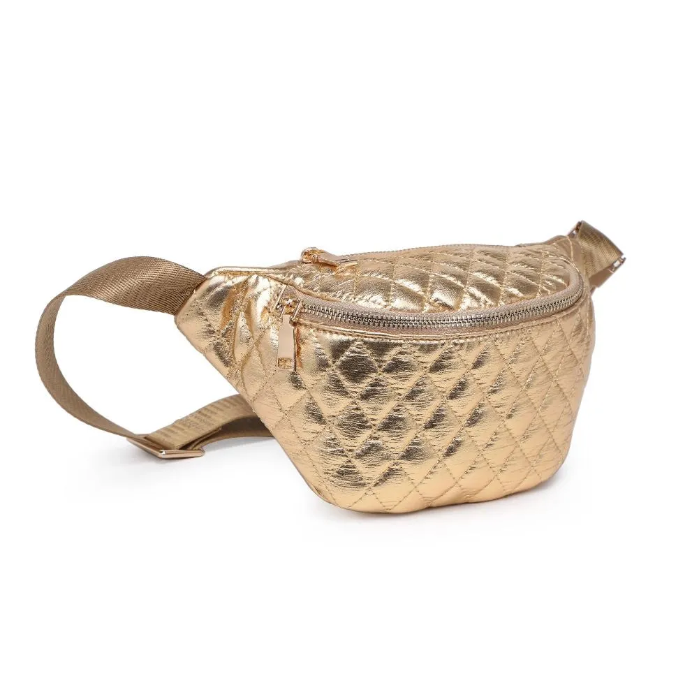 ariana bum bag