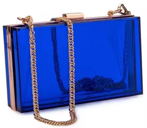Blue Transparent Clutch