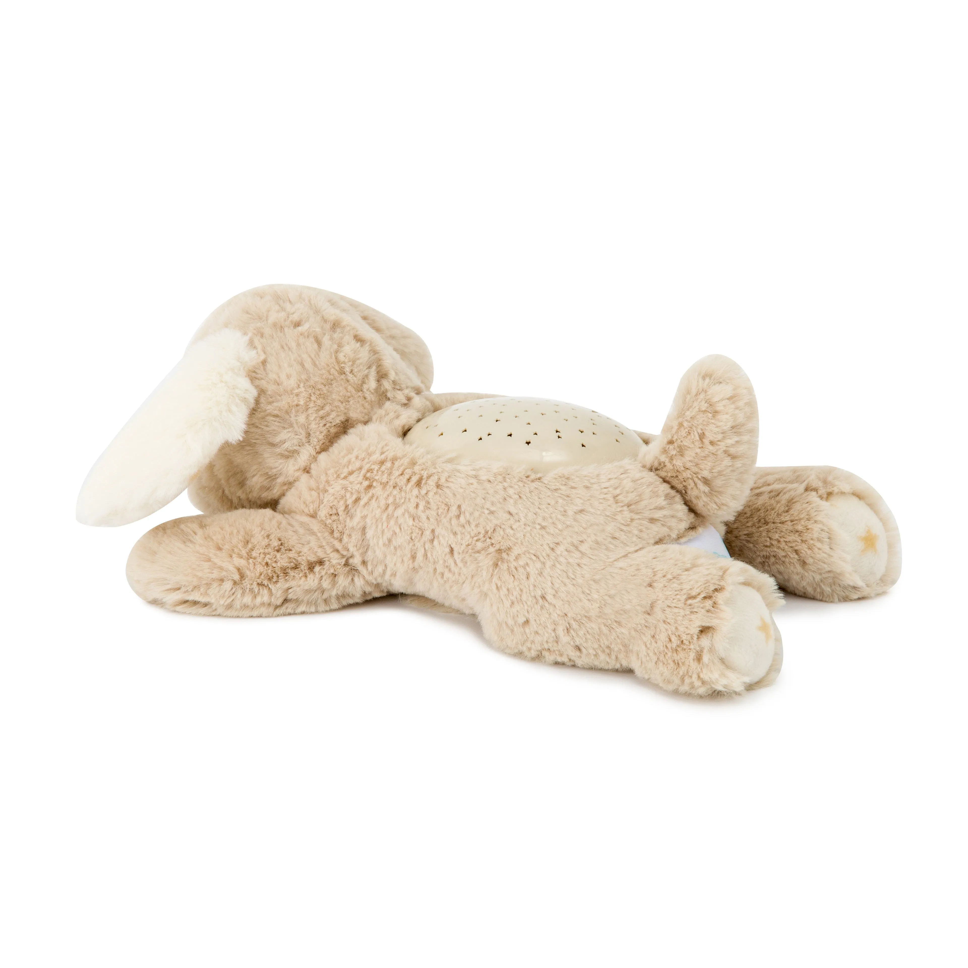Cloud B Dream Buddies (Patch the Puppy)