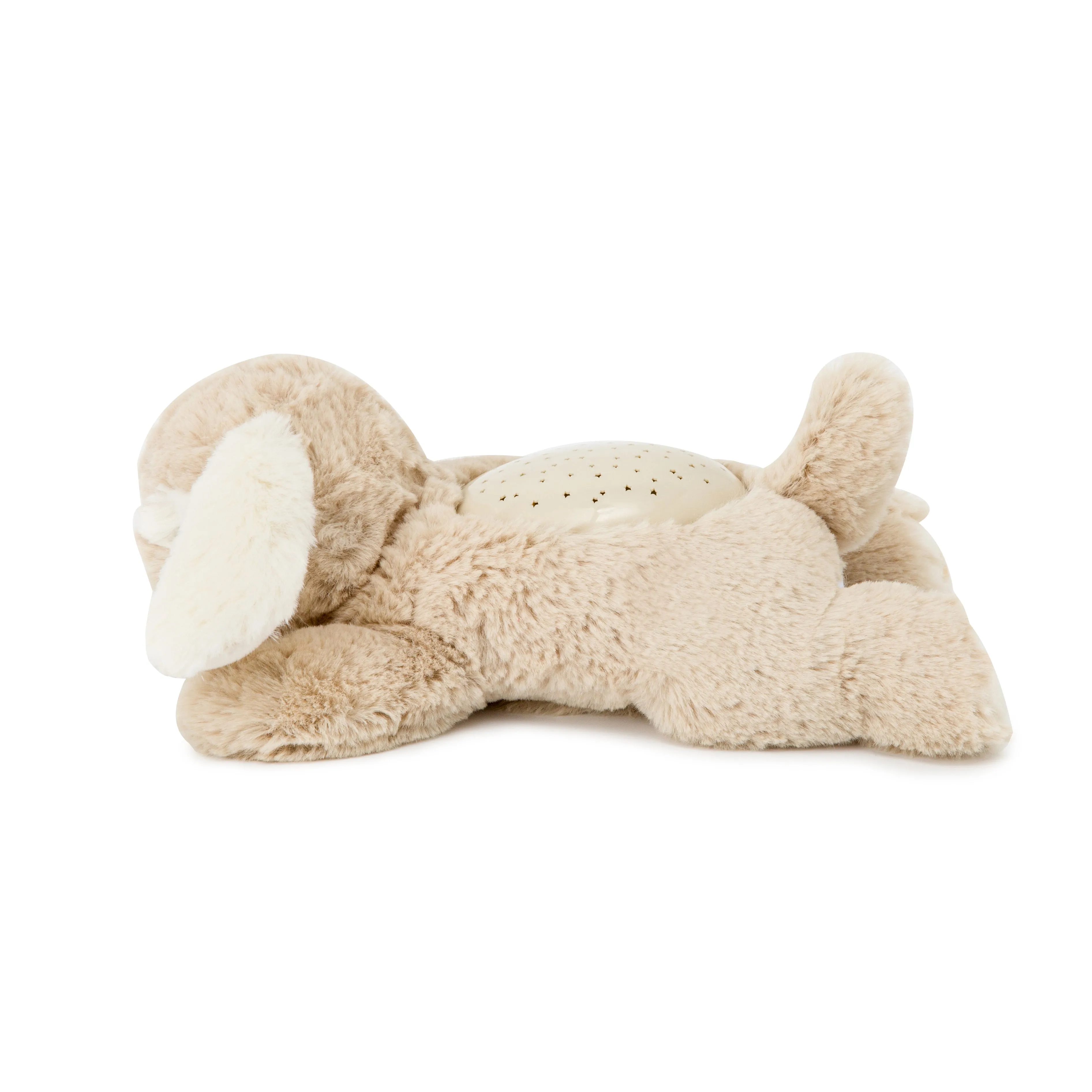 Cloud B Dream Buddies (Patch the Puppy)