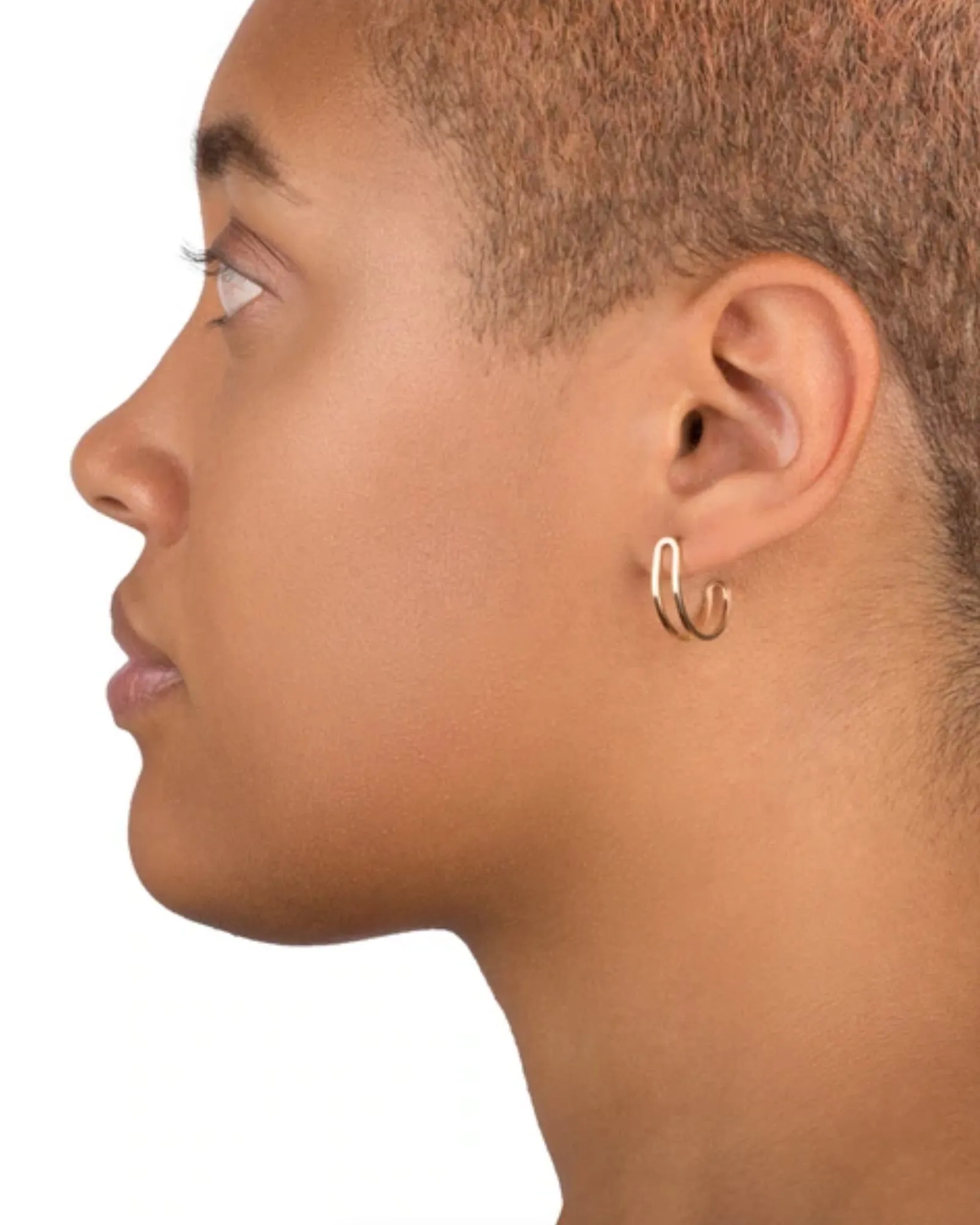 Dual Link Hoops