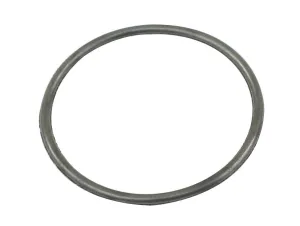 FLYWHEEL O RING