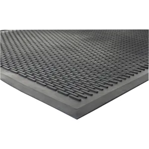 Genuine Joe Clean Step Scraper Floor Mats