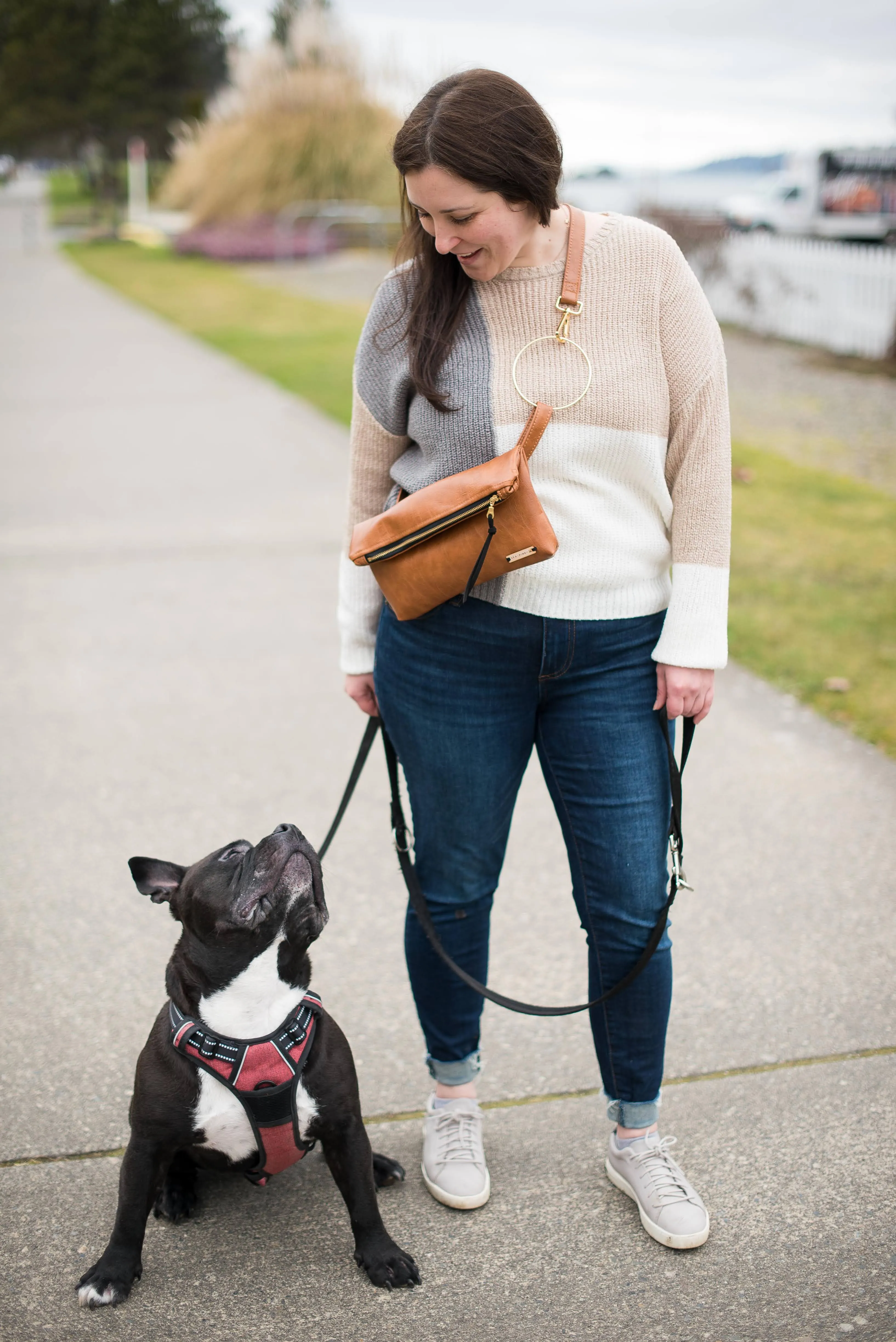 Hip Purse 2-in-1