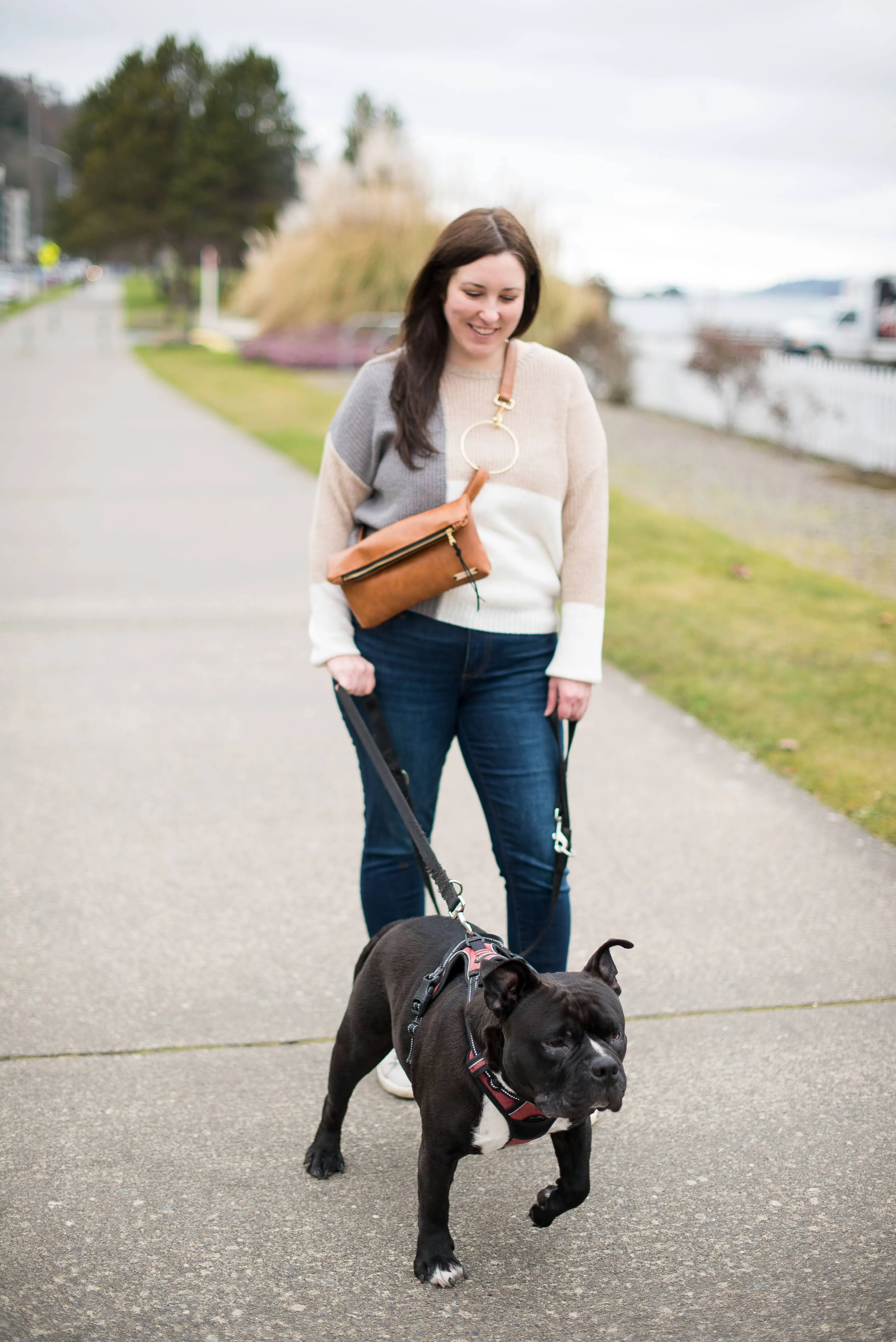 Hip Purse 2-in-1