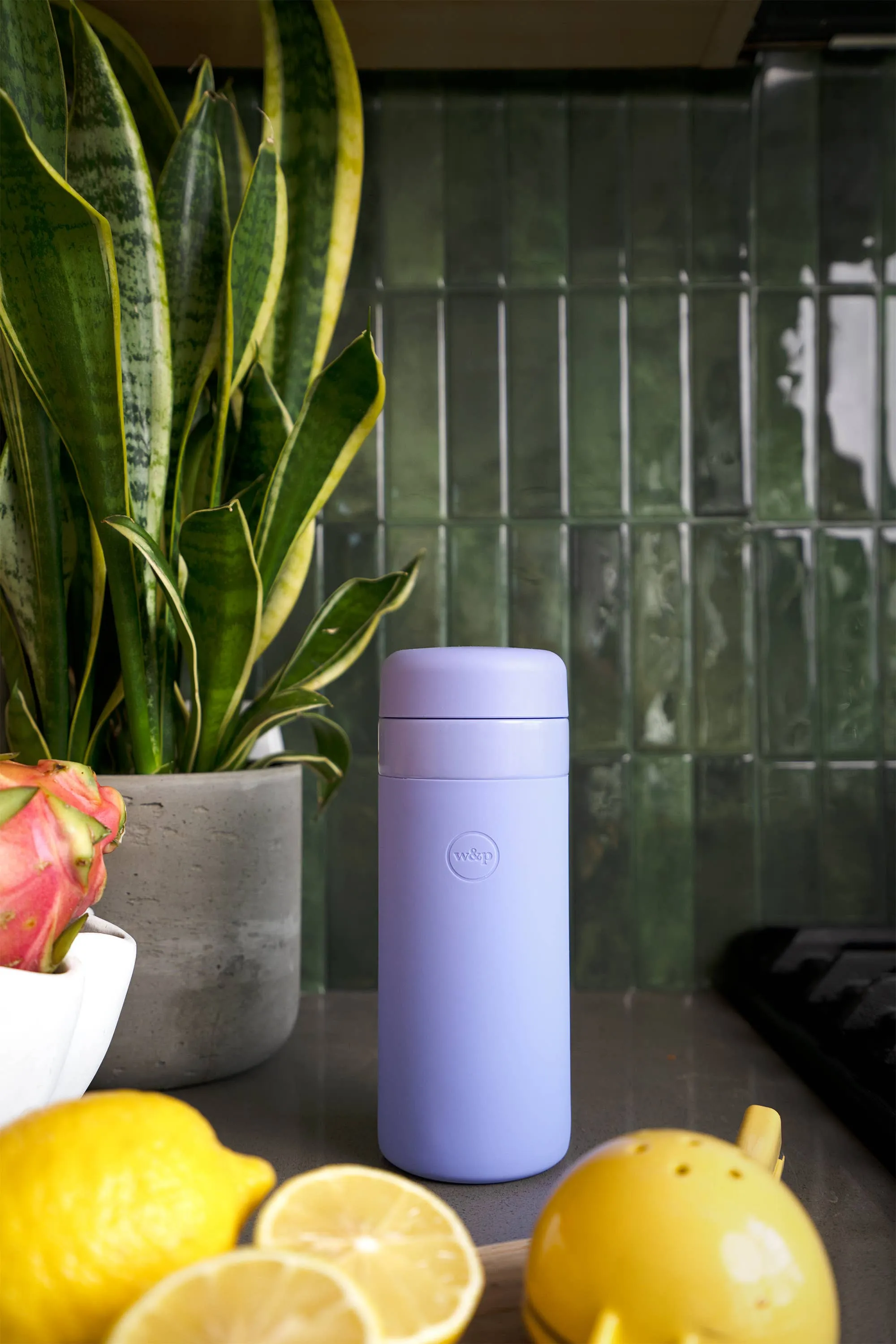 Insulated Ceramic Stainless Steel Coffee & Drink Bottle: Lavender / 16 oz
