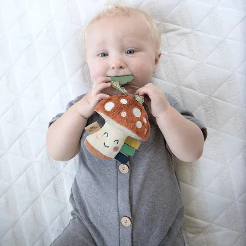 Itzy Ritzy Itzy Pal Plush   Teether