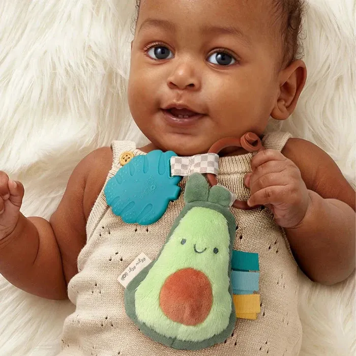 Itzy Ritzy Itzy Pal Plush   Teether