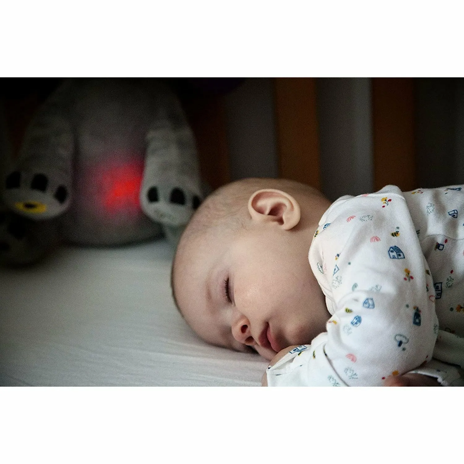 Jaspar The Dreamy Elephant
