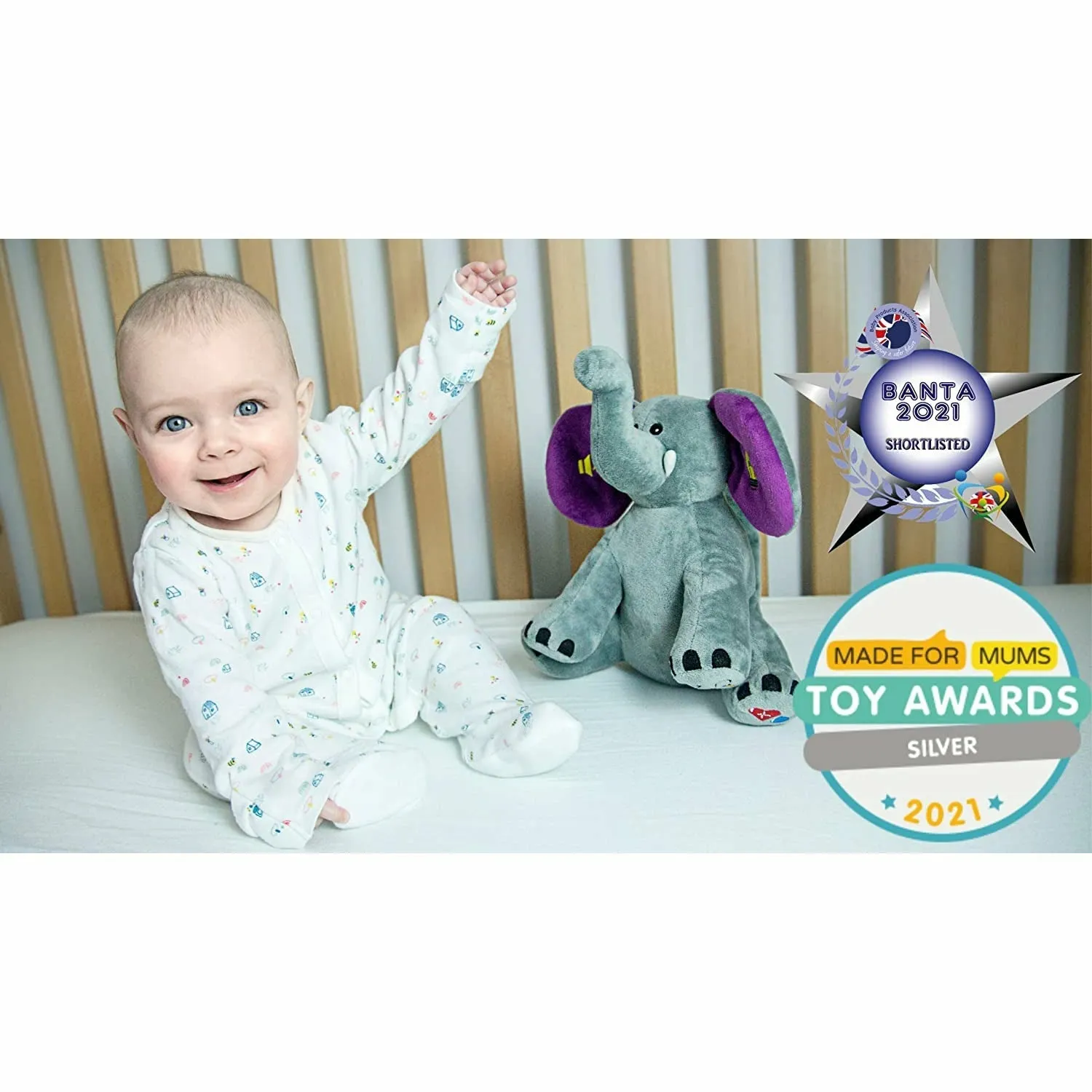 Jaspar The Dreamy Elephant