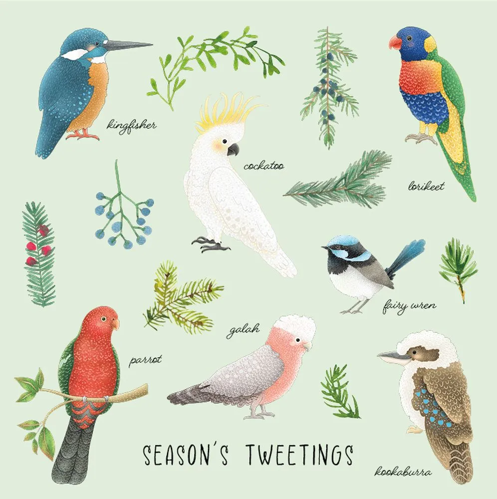 Jeans for Genes Australian Birds Charity Boxed Christmas Cards