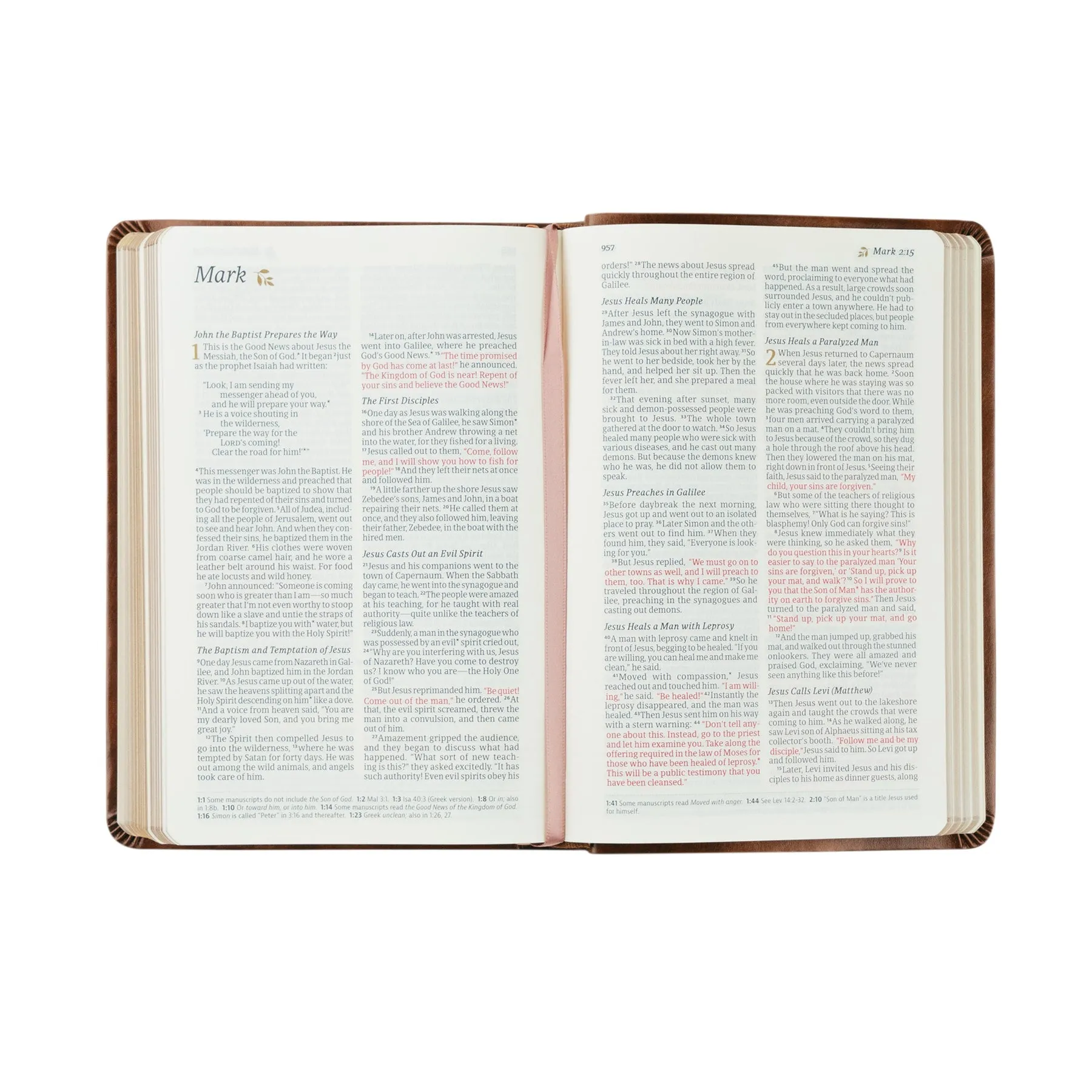 NLT Compact Bible : Aurora Theme