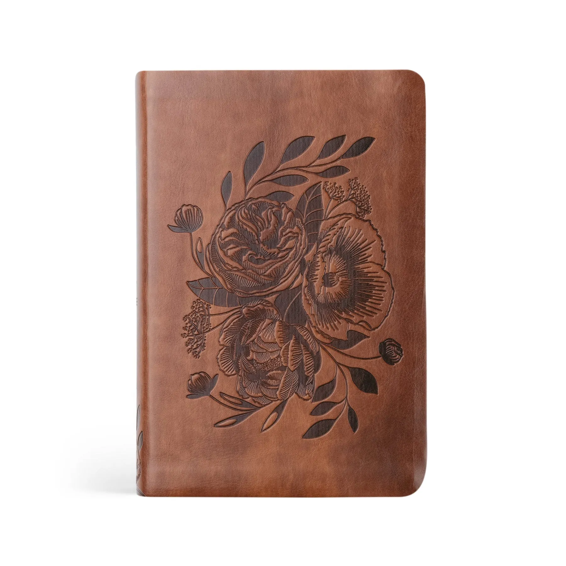 NLT Compact Bible : Aurora Theme