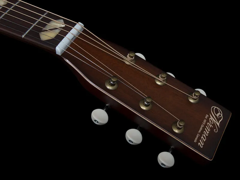 Norman ST30 in Havana Burst Element 048557