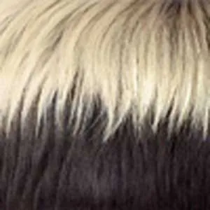 Outre Wigpop Synthetic Hair Full Wig - CHASTITY