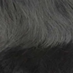 Outre Wigpop Synthetic Hair Full Wig - CHASTITY