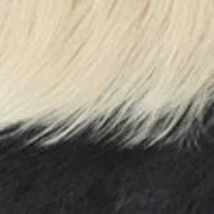 Outre Wigpop Synthetic Hair Full Wig - CHASTITY