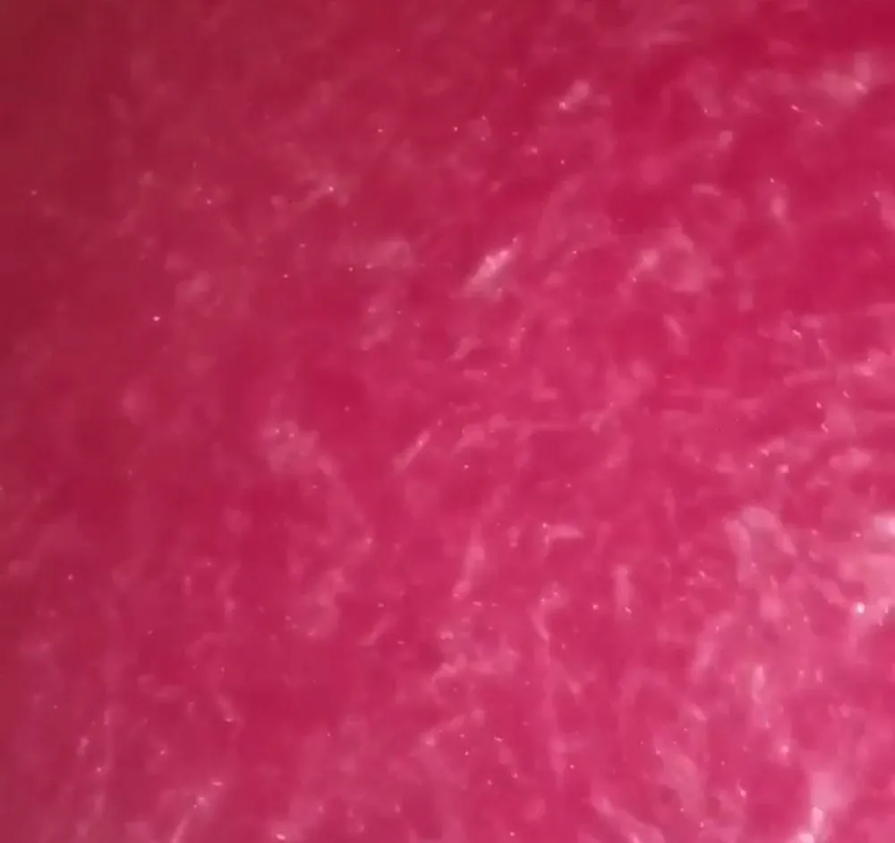 Persephone Magenta Metallic Bath Bomb with Single Use Soap