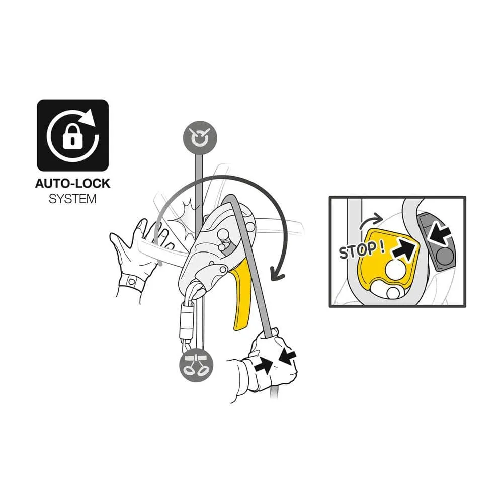 Petzl Rig Descender