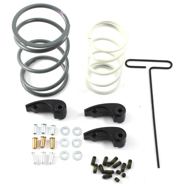 POLARIS RZR 1000 XP/XP4 Clutch Kit