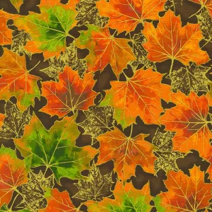 Shades of the Season 12 Brown