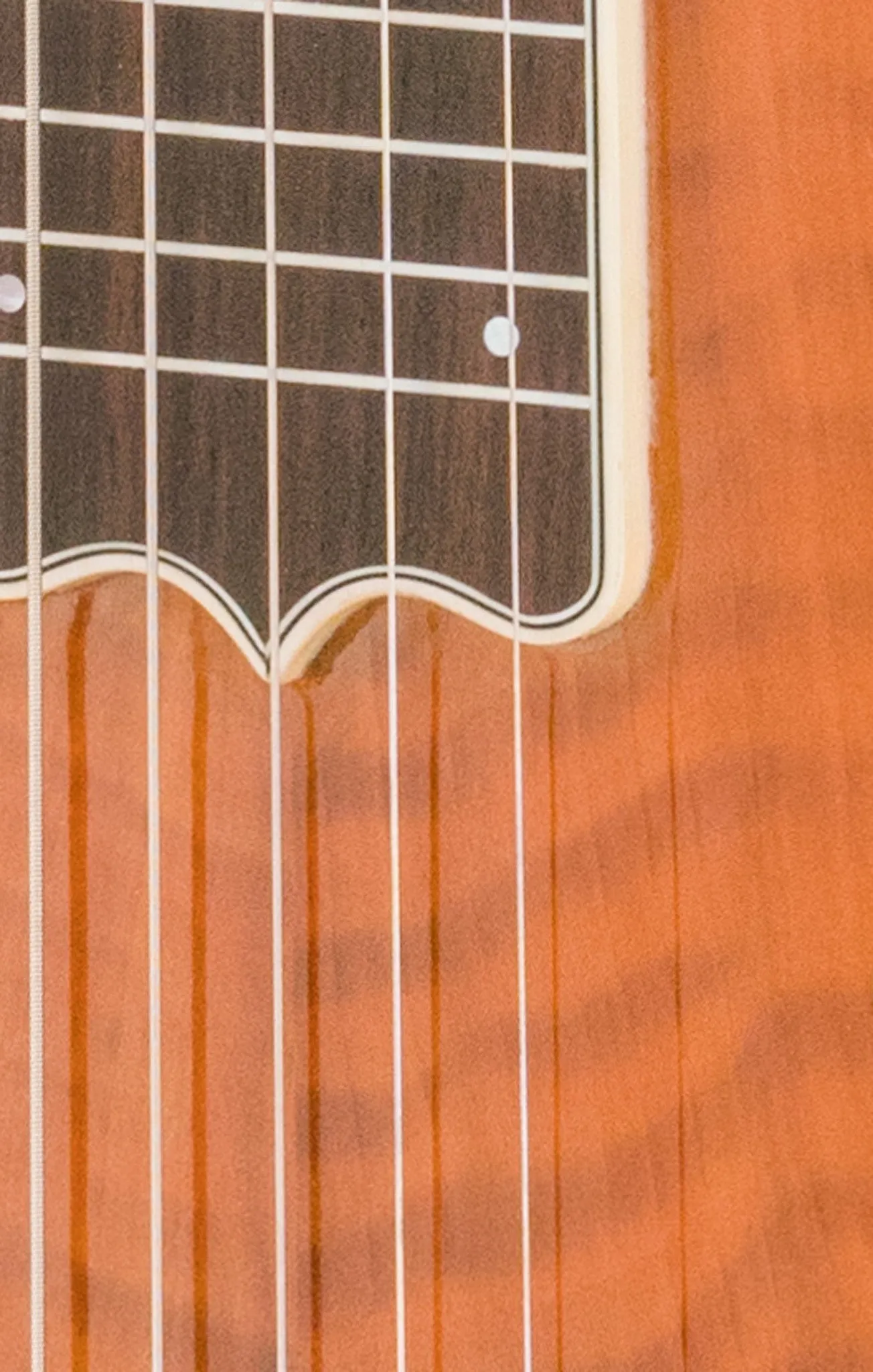 SOLD Asher Dual Tone #951 Semi-Acoustic Lap Steel with Flame California Redwood Top and Horseshoe Pickup