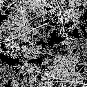 Sparkle and Fade Black - (3)