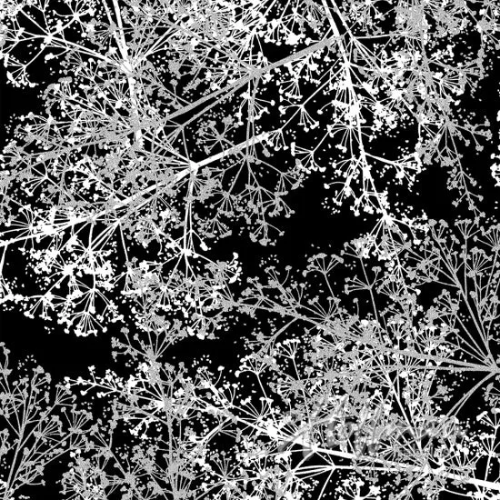 Sparkle and Fade Black - (3)