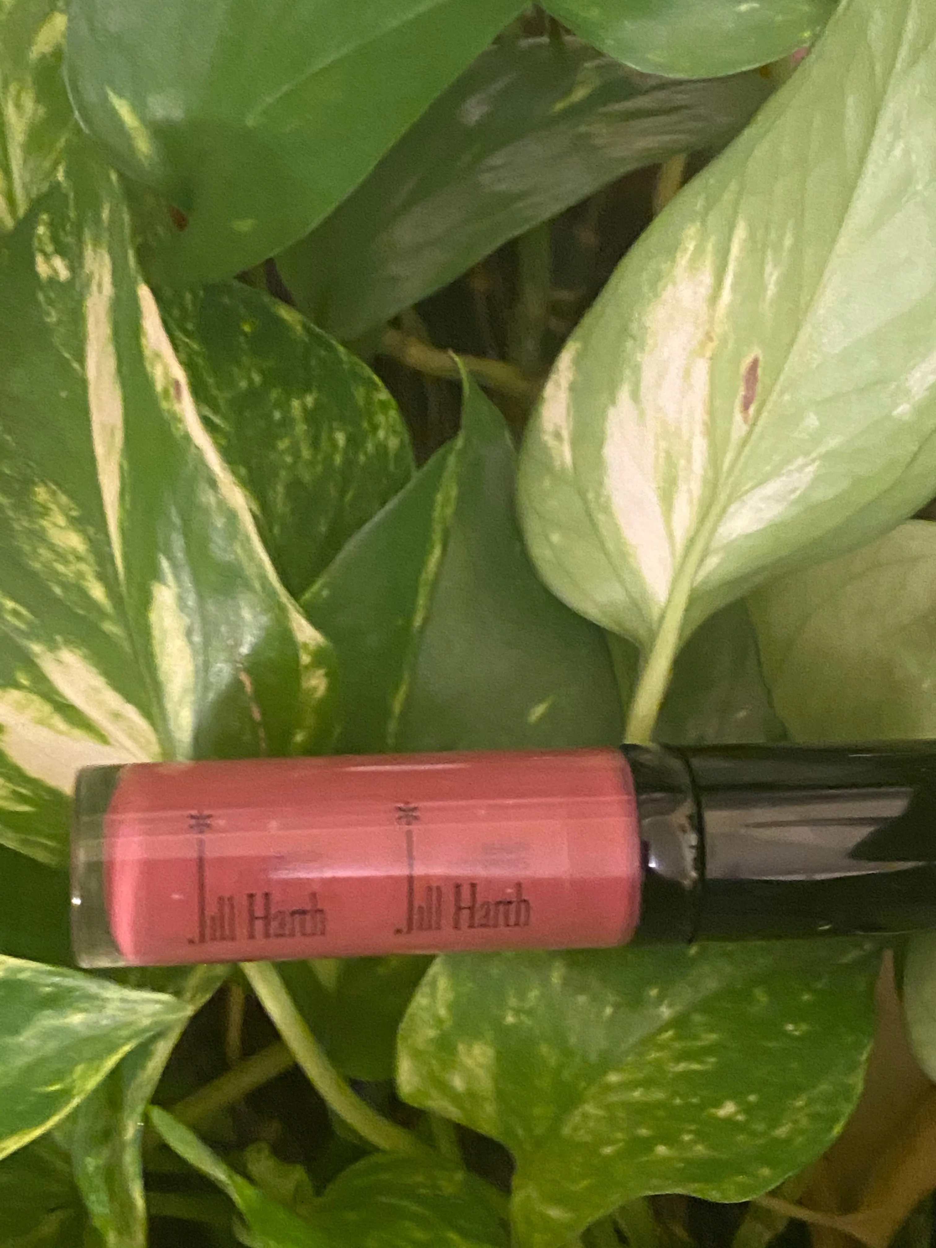 Sugar Berry Luxury Lip Gloss