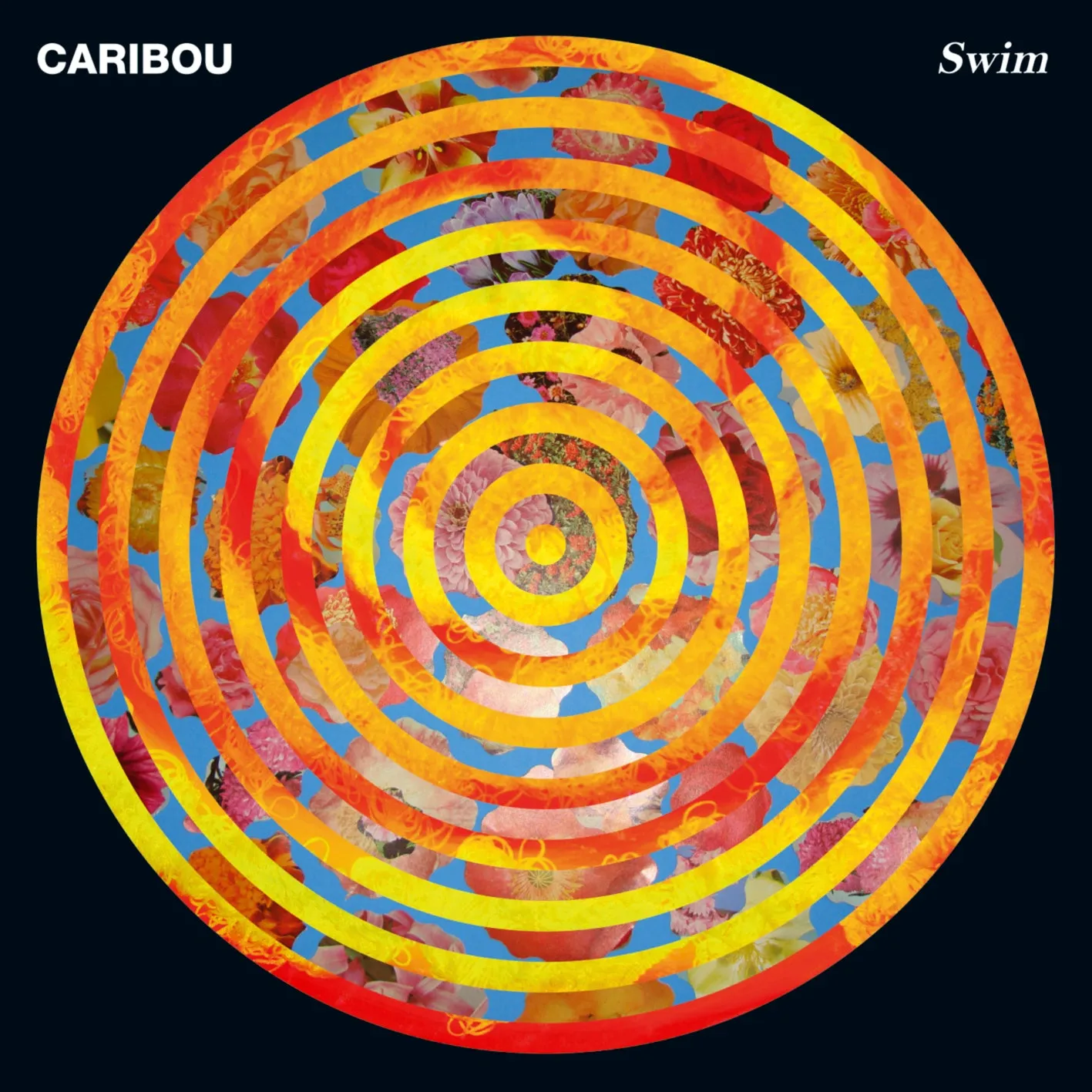 Swim [CD]