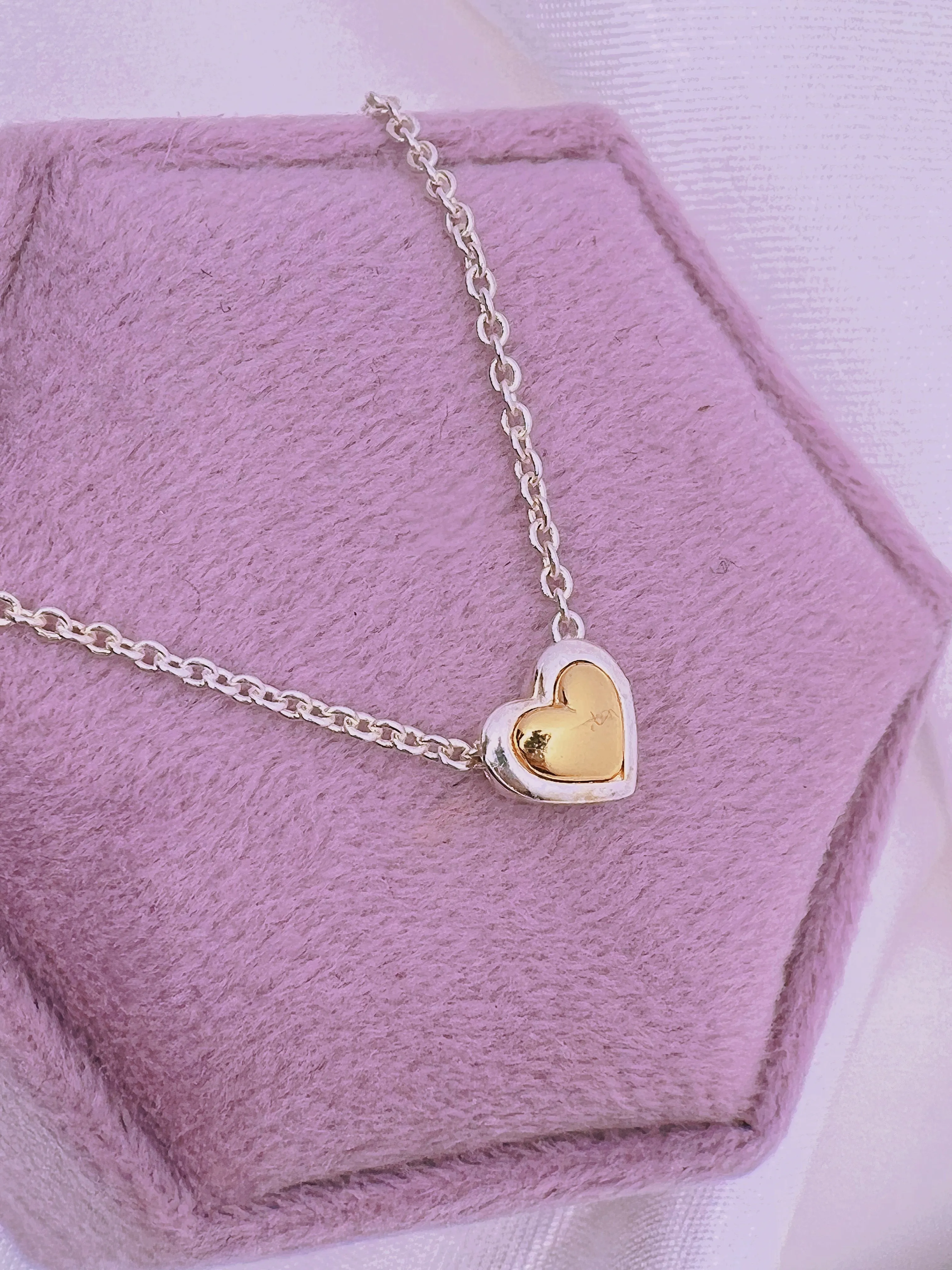Two Tone Heart Necklace