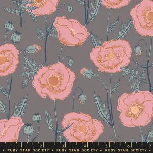 Unruly Nature, Icelandic Poppies in Cloud